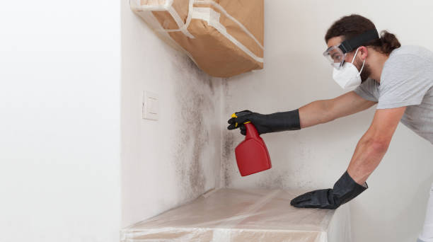 Professional Crawl Space Mold Removal technician working in North Bend, OR