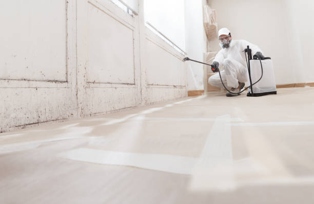 24/7 Emergency Crawl Space Mold Removal experts in North Bend, OR